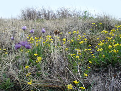 ����� � �����