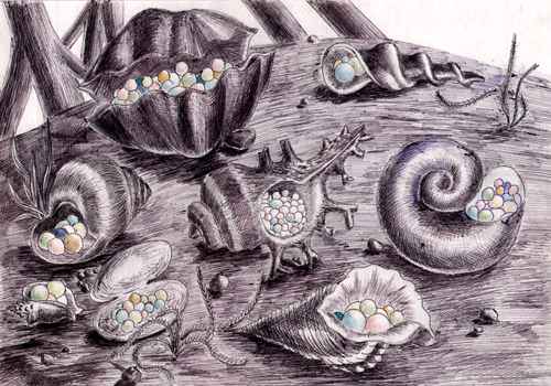 ���������� �.��������