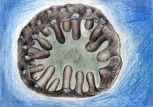 ���������� �.��������