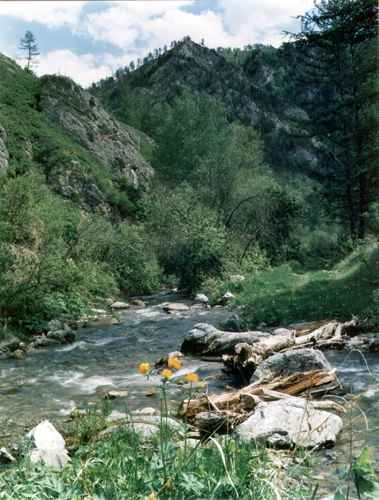 ���� �.����������