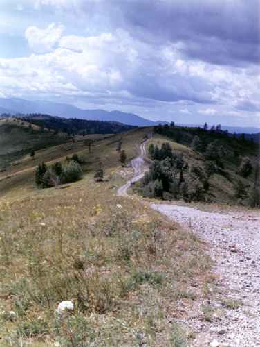 ���� �.����������