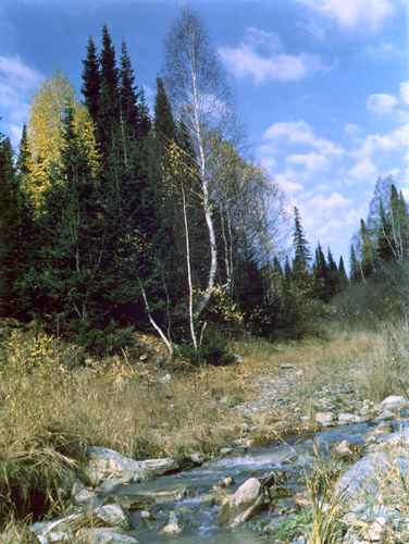 ���� �.����������