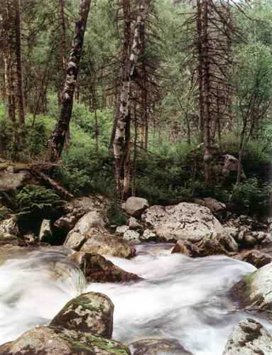 ���� �.����������