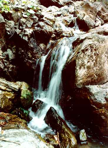 ���� �.����������