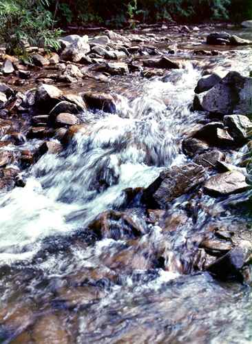 ���� �.����������