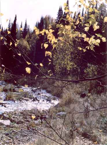 ���� �.����������